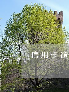 信用卡逾期几天列入失信名单