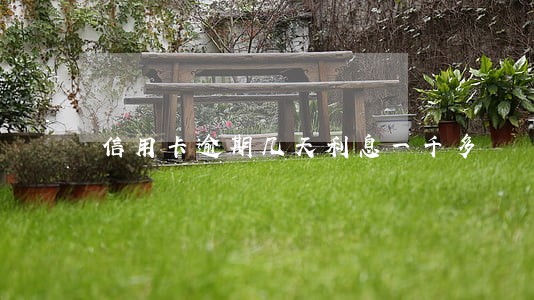 信用卡逾期几天利息一千多 信用卡逾期几天利息一千多