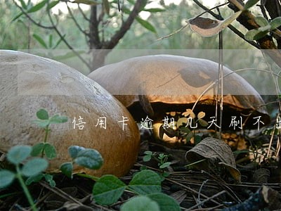信用卡逾期几天刷不出来 信用卡逾期几天刷不出来