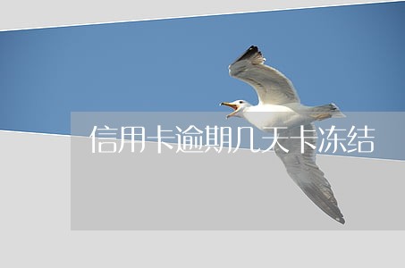 信用卡逾期几天卡冻结