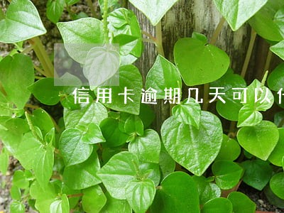 信用卡逾期几天可以代还吗 信用卡逾期几天可以代还吗