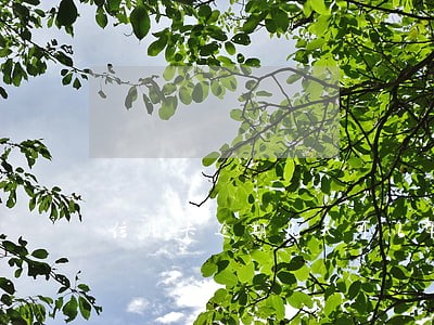 信用卡逾期几天可以帮忙取消吗 信用卡逾期几天可以帮忙取消吗