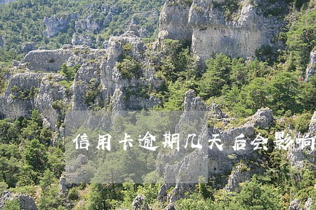 信用卡逾期几天后会影响征信吗 信用卡逾期几天后会影响征信吗