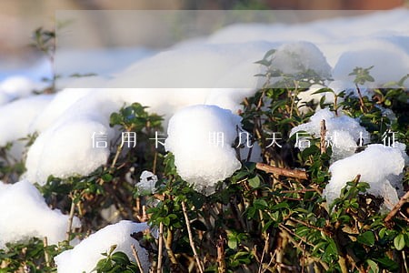 信用卡逾期几天后就上征信 信用卡逾期几天后就上征信