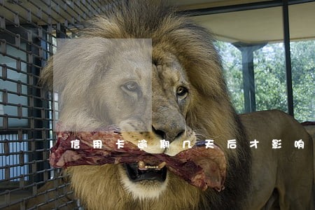 信用卡逾期几天后才影响到征信