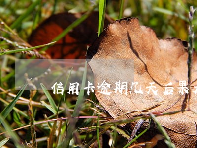 信用卡逾期几天后果是什么 信用卡逾期几天后果是什么
