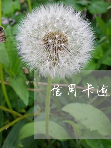 信用卡逾期几天后还能用吗