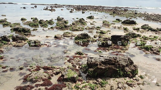 信用卡逾期几天在征信上能查到 信用卡逾期几天在征信上能查到