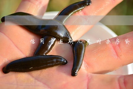 信用卡逾期几天对办房贷有影响吗 信用卡逾期几天对办房贷有影响吗