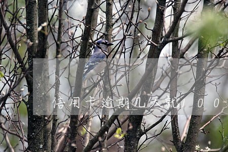 信用卡逾期几天就100块钱 信用卡逾期几天就100块钱