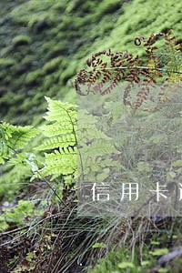 信用卡逾期几天就上征信了