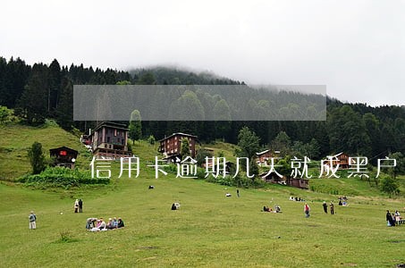 信用卡逾期几天就成黑户了