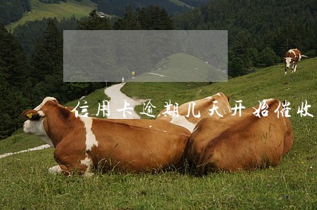 信用卡逾期几天开始催收