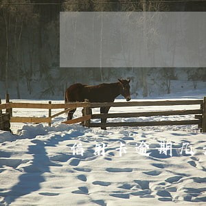 信用卡逾期几天开庭 信用卡逾期几天开庭