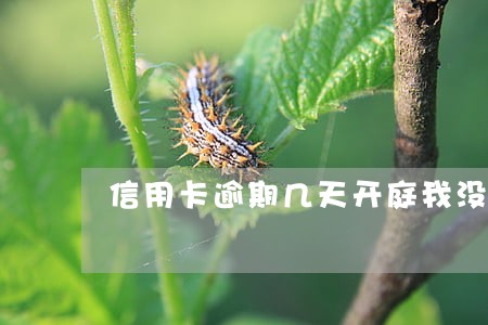 信用卡逾期几天开庭我没去 信用卡逾期几天开庭我没去
