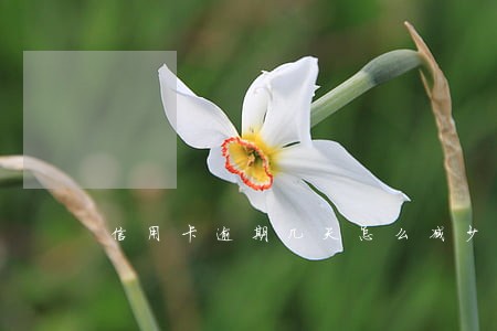信用卡逾期几天怎么减少利息 信用卡逾期几天怎么减少利息