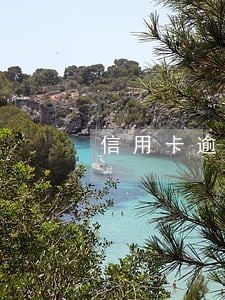 信用卡逾期几天怎么还 信用卡逾期几天怎么还