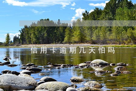 信用卡逾期几天怕吗