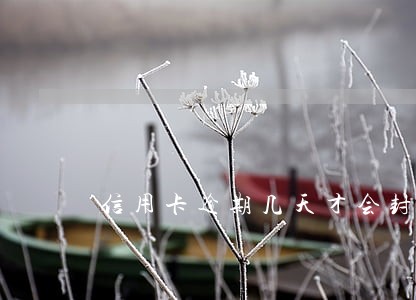 信用卡逾期几天才会封卡 信用卡逾期几天才会封卡