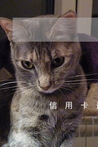 信用卡逾期几天才还有影响吗