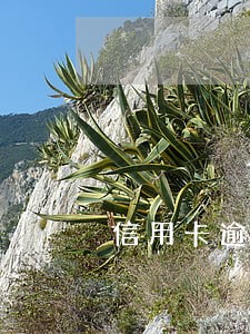 信用卡逾期几天有事吗我忘了 信用卡逾期几天有事吗我忘了