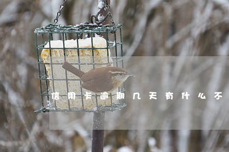 信用卡逾期几天有什么不良后果 信用卡逾期几天有什么不良后果