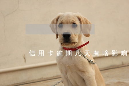 信用卡逾期几天有啥影响 信用卡逾期几天有啥影响