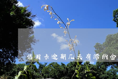 信用卡逾期几天有滞纳金 信用卡逾期几天有滞纳金