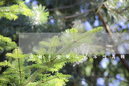 信用卡逾期几天深圳商转公 信用卡逾期几天深圳商转公