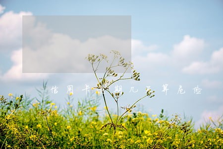 信用卡逾期几天算危险 信用卡逾期几天算危险