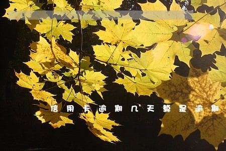 信用卡逾期几天算是逾期呢 信用卡逾期几天算是逾期呢