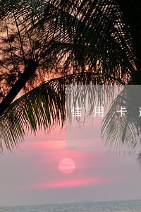 信用卡逾期几天联系家里人 信用卡逾期几天联系家里人