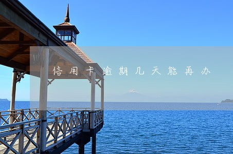 信用卡逾期几天能再办 信用卡逾期几天能再办