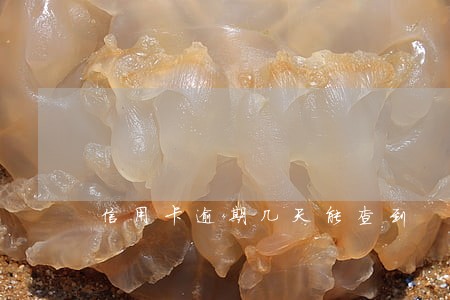 信用卡逾期几天能查到 信用卡逾期几天能查到