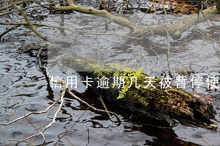信用卡逾期几天被暂停使用 信用卡逾期几天被暂停使用