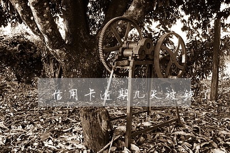 信用卡逾期几天被锁了