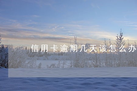 信用卡逾期几天该怎么办 信用卡逾期几天该怎么办