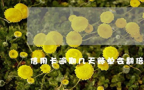 信用卡逾期几天账单会翻倍吗
