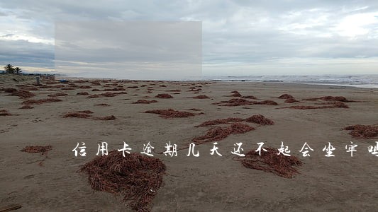 信用卡逾期几天还不起会坐牢吗 信用卡逾期几天还不起会坐牢吗