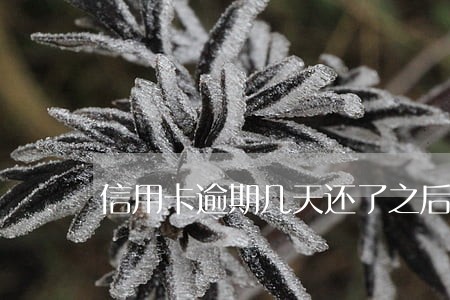 信用卡逾期几天还了之后还能用吗