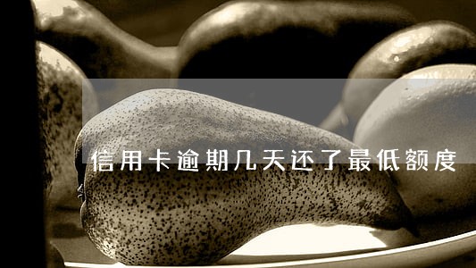 信用卡逾期几天还了最低额度