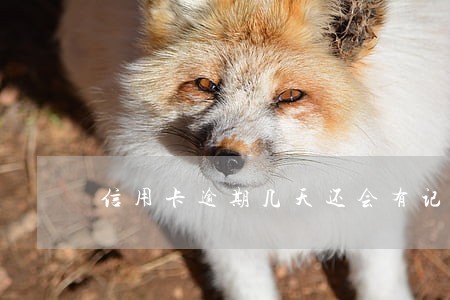信用卡逾期几天还会有记录吗 信用卡逾期几天还会有记录吗