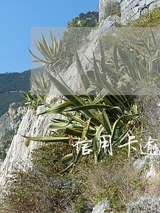 信用卡逾期几天还可以用吗