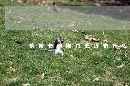 信用卡逾期几天还有什么影响 信用卡逾期几天还有什么影响