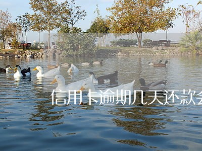 信用卡逾期几天还款会影响信用吗 信用卡逾期几天还款会影响信用吗