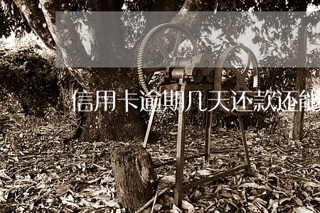 信用卡逾期几天还款还能刷出来嘛 信用卡逾期几天还款还能刷出来嘛