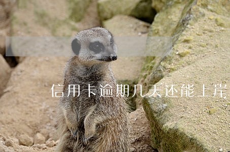 信用卡逾期几天还能上岸 信用卡逾期几天还能上岸