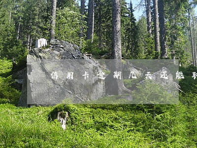信用卡逾期几天还能取钱吗 信用卡逾期几天还能取钱吗