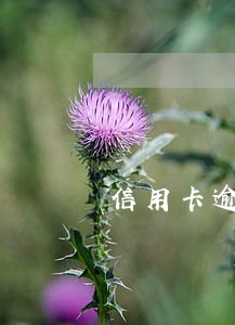 信用卡逾期几天还能房贷么 信用卡逾期几天还能房贷么