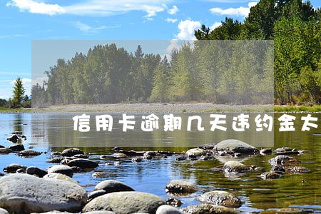 信用卡逾期几天违约金太高能 信用卡逾期几天违约金太高能